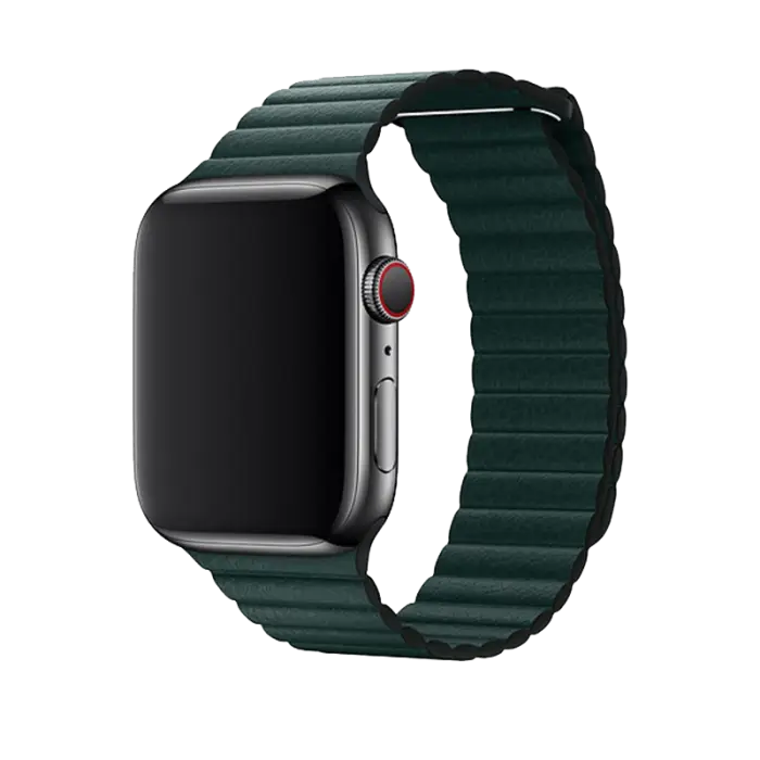 Elegant Leather Loop - Image 3