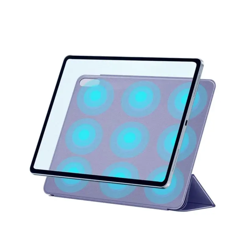 iPad Pro case 