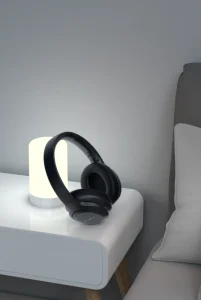 EarBass Pro1 ANC Wireless Headset - Image 3